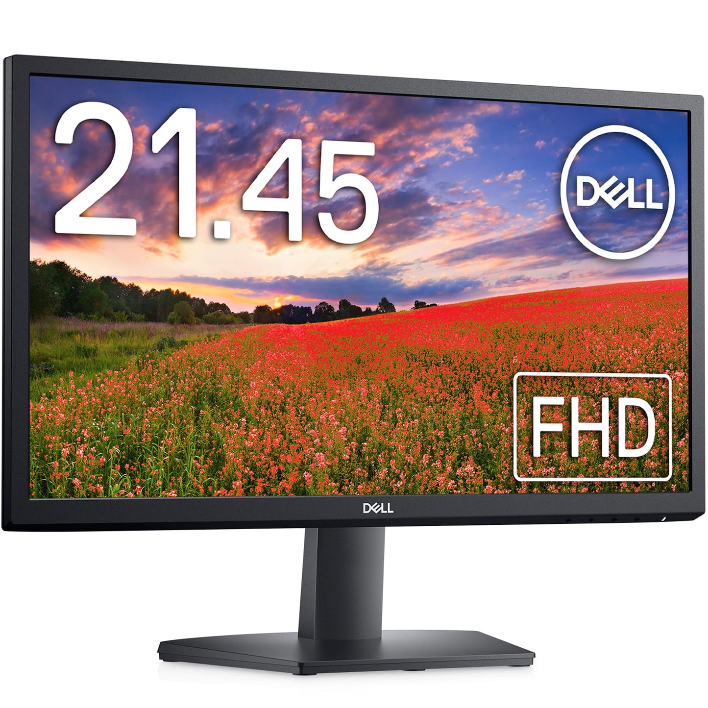 Dell 22" FHD Monitor (1920x1080)