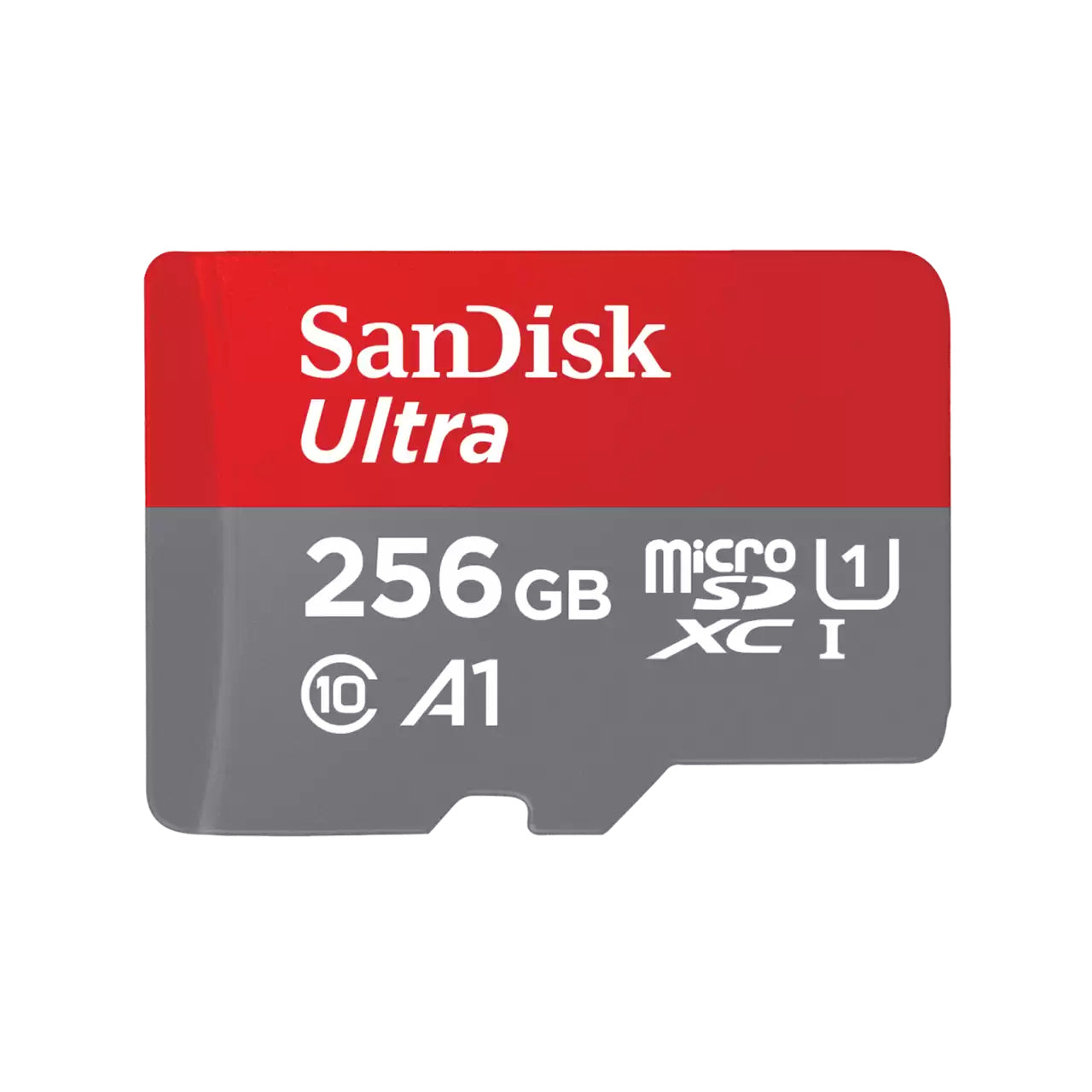 Sandisk Micro Class 10 256Gb