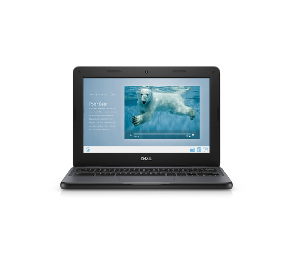 Dell Chrome 3100 (Crj7F)