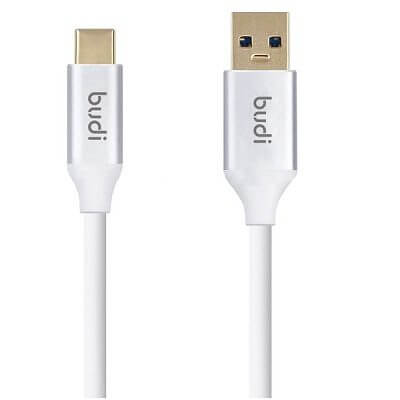 Budi Charging USB Cable Type C to Type C Cable – M8J176TT